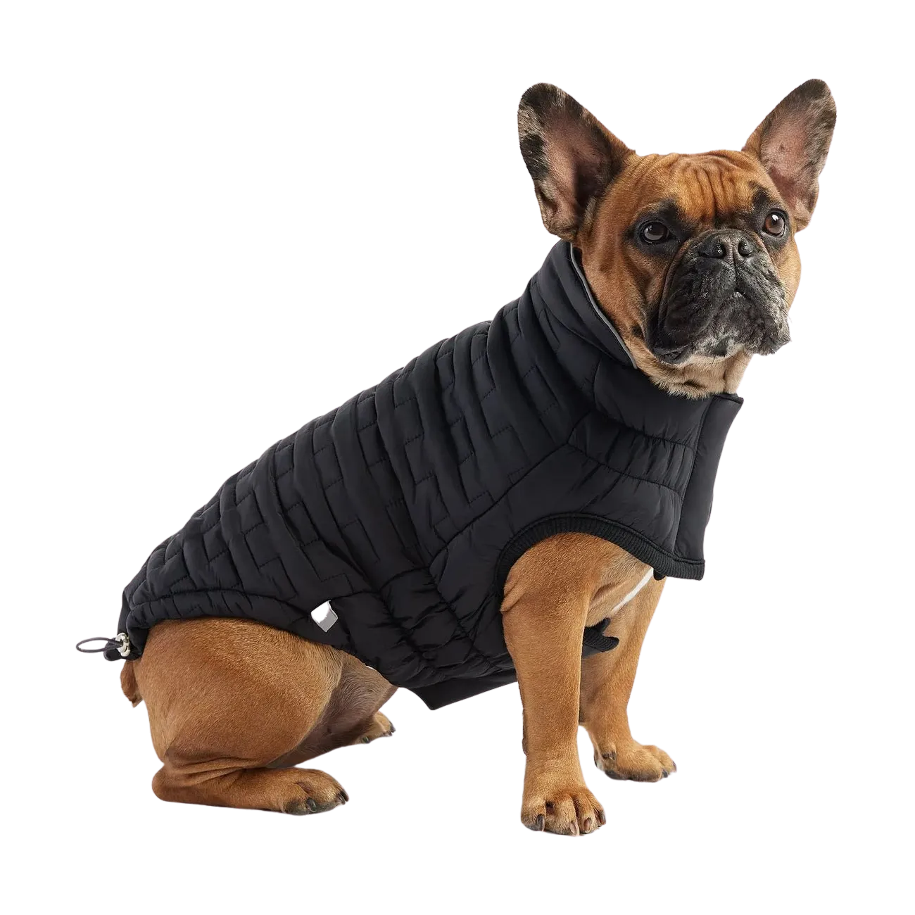 GF Pet Reverible Chalet Jacket Black